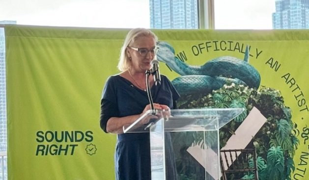 UN Live’s CEO Katja Iversen at the launch of ‘Sounds Right’. Credit: Naureen Hossain/IPS