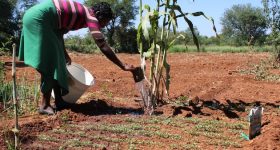 Women Affected by 'Gender-Biased' Climate Change Deserve Justice - Vimarsana News