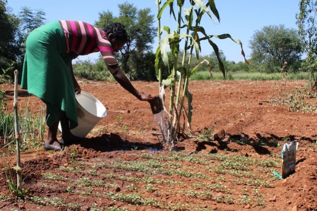 More research is needed into the negative impacts of climate change on women for them to access climate justice. Credit: Busani Bafana/IPS