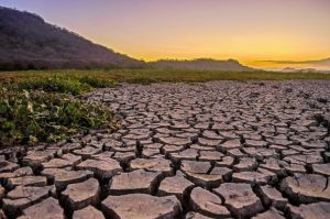 In 2023, the United Nations released a report revealing that extreme weather disasters had incurred economic losses totaling $4 trillion, with significant impacts felt across various sectors, notably agriculture