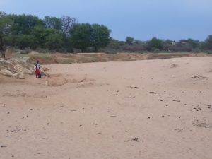Rising Temperatures Drive Human-Wildlife Conflict in Zimbabwe