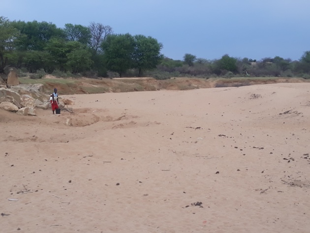 Rising Temperatures Drive Human-Wildlife Conflict in Zimbabwe - Vimarsana News