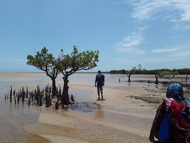 Ocean Action on Agenda as Negotiations to Save Biodiversity Deepen - Vimarsana News