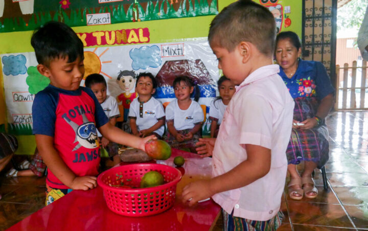 Two children pretend to purchase and sell fruits and vegetables speaking in Náhuat, as part of the teaching exercises at Náhuat Cuna in western El Salvador, a preschool for new generations of Salvadorans to learn the nearly extinct Amerindian language. CREDIT: Edgardo Ayala /IPS