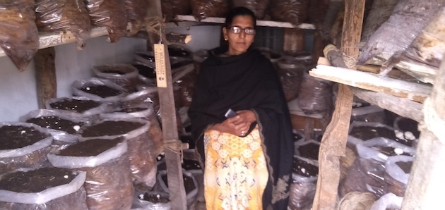 Surjeet Kumari with her mushrooms.