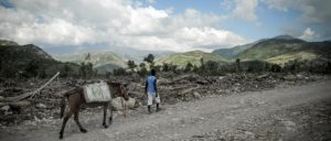 The escalation of violence and multiple crises worsen Haiti's acute food insecurity - Credit: Justine Texier / FAO - Although the most recent evidence shows signs of improvement in food insecurity in Latin America and the Caribbean, the data reveal a worrying upward trend in Haiti and sectors of the subregion