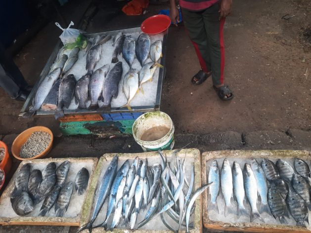 A fishworker sells a limited variety of fish. Due to climate change the size of the catch and the variety of the fish caught have significantly decreased in number over time. Graphic: Aishwarya Bajpai/IPS