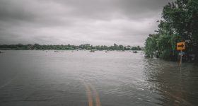 Record-breaking rainfall and flooding are increasingly threatening our ability to grow essential crops like wheat, soybeans, and maize. Credit: Shutterstock Investing in research is essential to improving crop resilience against flooding, ensuring our food supply remains secure as extreme weather events become more frequent