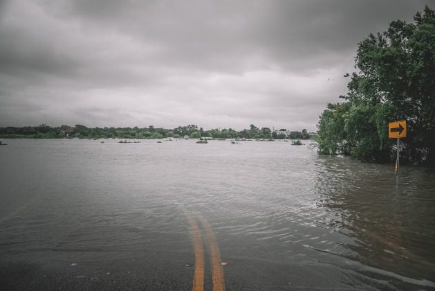Record-breaking rainfall and flooding are increasingly threatening our ability to grow essential crops like wheat, soybeans, and maize. Credit: Shutterstock Investing in research is essential to improving crop resilience against flooding, ensuring our food supply remains secure as extreme weather events become more frequent