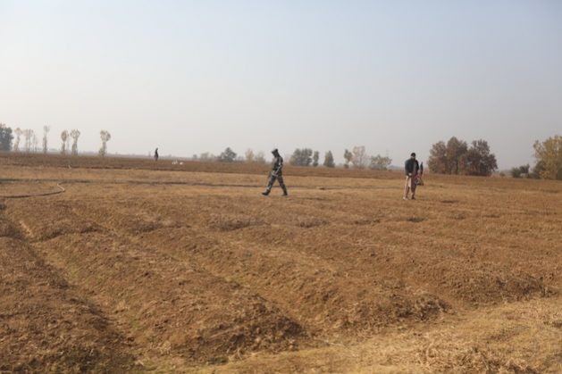 Four-fifths of Kashmir’s population depends on agriculture. Yet, this heatwave is devastating crops, including the famed saffron. Credit: Umar Manzoor Shah/IPS