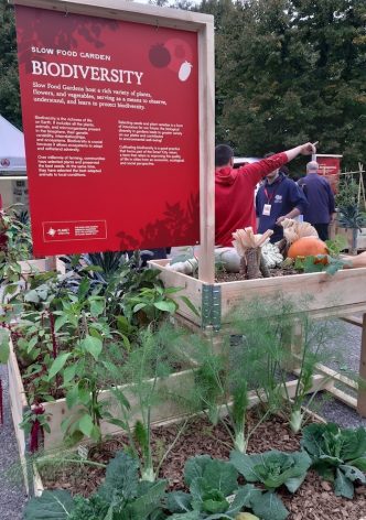 Biodiversity is key to food security and nutrition. IPBES has warned that loss of biodiversity is accelerating around the world, with 1 million animal and plant species threatened with extinction. Credit: Busani Bafana/IPS