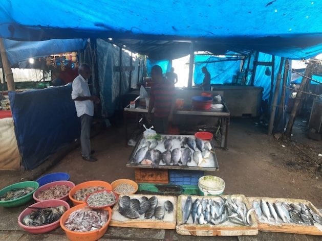 Small-scale fishers on the coast of Kerela, India with a variety of fish and prawns. Credit: Aishwarya Bajpai/IPS