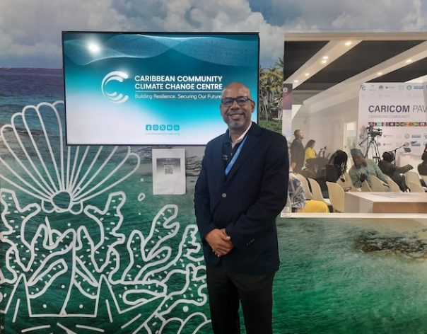 Dr. Colin A. Young, Executive Director of the Caribbean Community Climate Change Center says the developed world should be reminded of catastrophic outcomes of failing to meet emissions targets. Credit: Aishwarya Bajpai/IPS