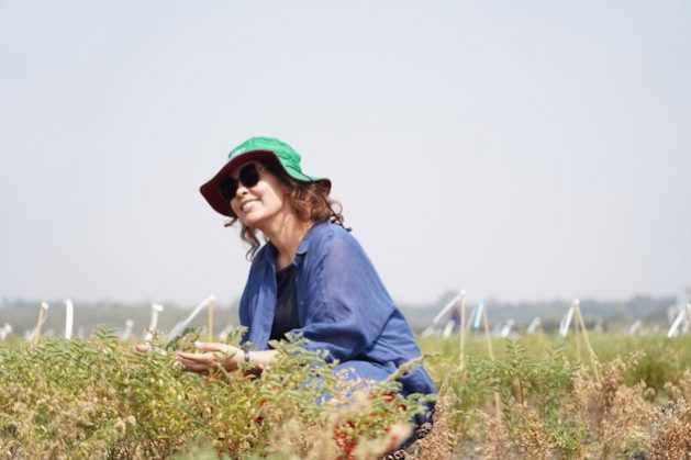 Ismahane Elouafi, Executive Managing Director of the Consortium of International Agricultural Research Centers (CGIAR). Credit: CGIAR