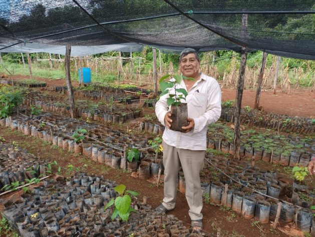 Maya farmer Leonardo Puc shows an achiote seedling, whose seeds give colour and flavour to a variety of Mexican food recipes, in a cornfield in the municipality of Tadhziú, in the southeastern state of Yucatán. Image: Emilio Godoy / IPS