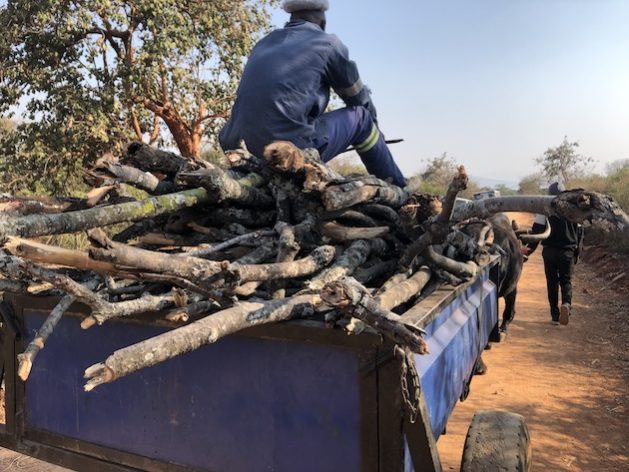 Cart laden with firewood in Gonzoma, Zimbabwe. Woodpoaching for household fuel is having an impact on forests in Zimbabwe. Credit: Jeffrey Moyo/IPS