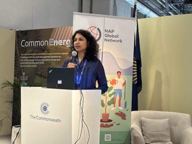 Srilata Kammila, Head of Climate Change Adaptation at the United Nations Development Programme (UNDP). Credit: UNDP