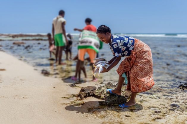 Malagasy woman preparing fish on the beach of Lavanono in the far south of Madagascar. The IPBES Transformative Change Report suggests that principles of equity and justice; pluralism and inclusion; respectful and reciprocal human-nature relationships; and adaptive learning and action can achieve transformative change.