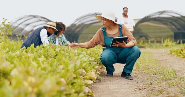 IPBES’ nexus assessment concludes that environmental, social, and economic crises—such as biodiversity loss, water and food insecurity, health risks, and climate change—are all interconnected, and need interlinking solutions.