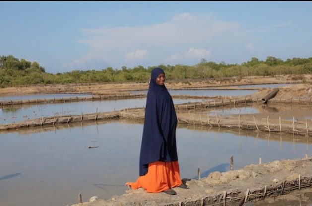 Salma Mahmoud Ali walks through her salt ponds. Credit: Kizito Shigela/IPS