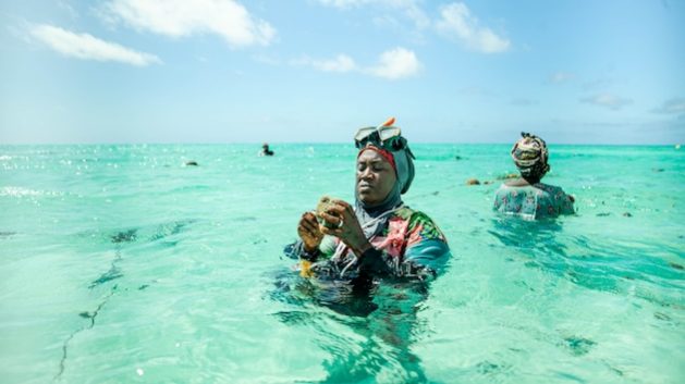 Nasir Haji, a sponge farmer, cleans sponges in the Indian Ocean. Credit: Kizito Makoye/IPS
