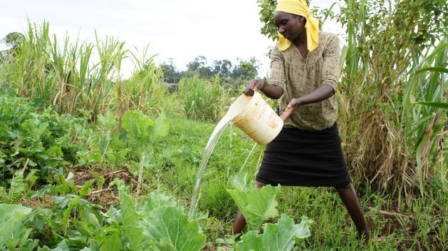 Research shows that women with secure land ownership see increased production, higher incomes, and improved well-being for their families and communities. Credit: Miriam Gathigah/IPS