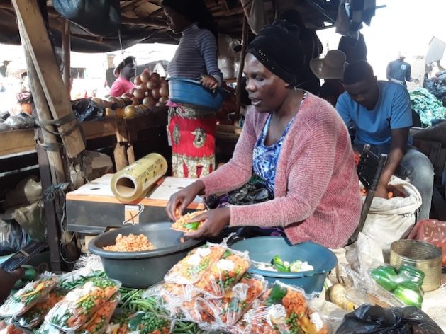 As the Global South reaches concerning food and nutrition security levels, experts say science will turn around the trajectory of extreme poverty and hunger. Credit: Joyce Chimbi/IPS