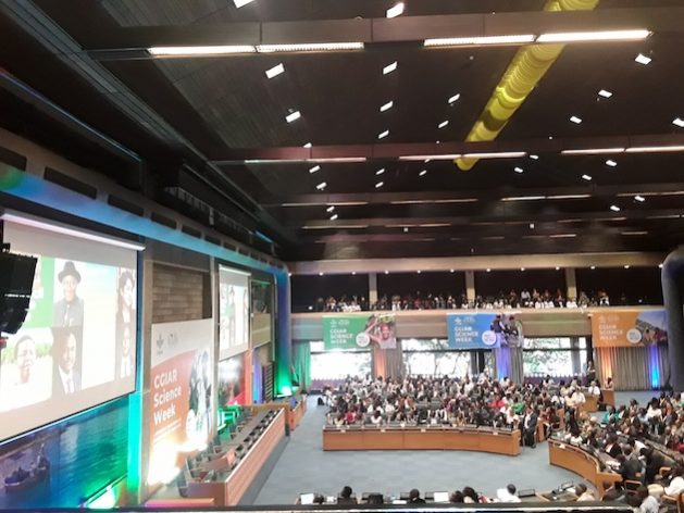 CGIAR and the Kenyan Agricultural and Livestock Research Organization (KALRO) have convened the very first CGIAR Science Week, April 7 to 12, 2025. Credit: Joyce Chimbi/IPS