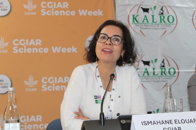 Dr Ismahane Elouafi, Executive Managing Director of CGIAR. Credit: Busani Bafana