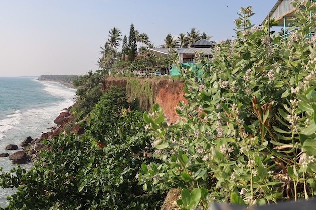 The North Cliff, observed from the top. Credit: Bharath Thampi/IPS