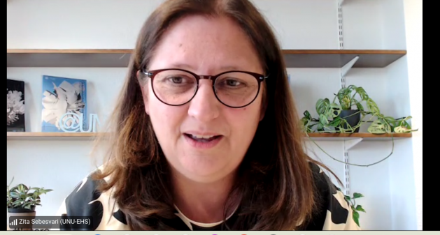 Zita Sebesvari, Deputy Director of the United Nations University’s Institute for Environment and Human Security. Credit: Busani Bafana/IPS