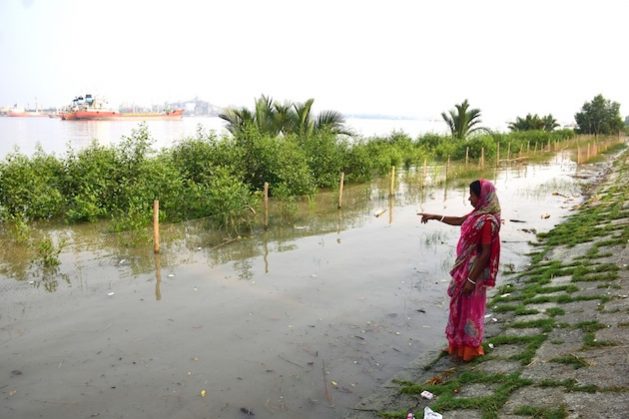 New mangroves have been created in various areas to reduce climate change risks in Badamtoli village of Dakop upazila (sub-district) of Khulna district. Credit: Rafiqul Islam Montu/IPS
