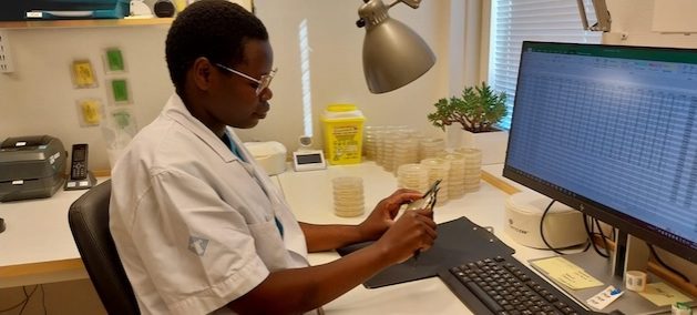 Linnet Ochieng, the lab manager, conducts AMR testing at the International Livestock Research Institute. Credit: ILRI