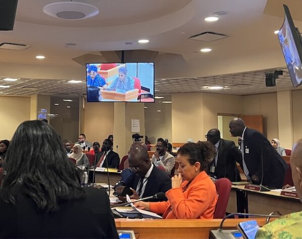 Leaders, policymakers, and partners unite at Africa Day 2025. Credit: Shreya Komar/IPS