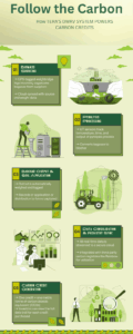 Diagram showing how the DMRV system developed by Kenyan firm CYNK tracks Tera’s biochar production from bagasse to farm application.
