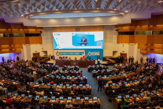 UNFSS+4 delivered a clear message: solutions already exist. What’s missing is political will, adequate funding, and a willingness to challenge the status quo. Credit: UNFSS by kin creative-9555