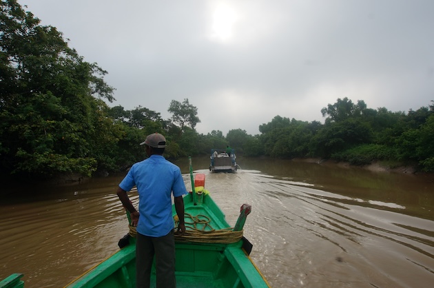 Bhitarkanika mangroves, Odisha—a boat ride through the still waters and crocodile territory. Credit: Aishwarya Bajpai/IPS