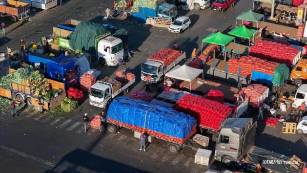 Produce trucks arrive at Lo Valledor, Chile’s largest wholesale market, where edible surplus is recovered for vulnerable communities; Latin America and the Caribbean lead hunger reduction, yet inequalities and malnutrition persist. Credit: Max Valencia / FAO
