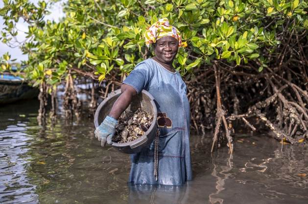 Across the globe, farmers are adopting low-emission practices, restoring degraded lands, and protecting biodiversity. With the right support, they can do much more. Credit: FAO - Despite absorbing a quarter of climate-related losses and having the potential to reduce one-third of global emissions, agrifood systems receive less than 8% of climate finance. This imbalance threatens progress in addressing global climate challenges
