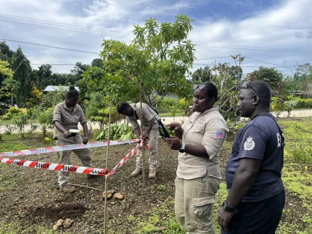 HALO coordinating with the Royal Solomon Islands Police Force Explosive Ordnance Disposal Department (RSIPF EODD) to record the location of UXO in Dunde area, Munda, Western Province. Credit: HALO TRUST.