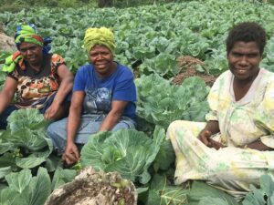 Organic farmers in Vanuatu. Climate change. In the Pacific, this loss of climate predictability affects food systems, freshwater access and coastal safety. Credit: SPC