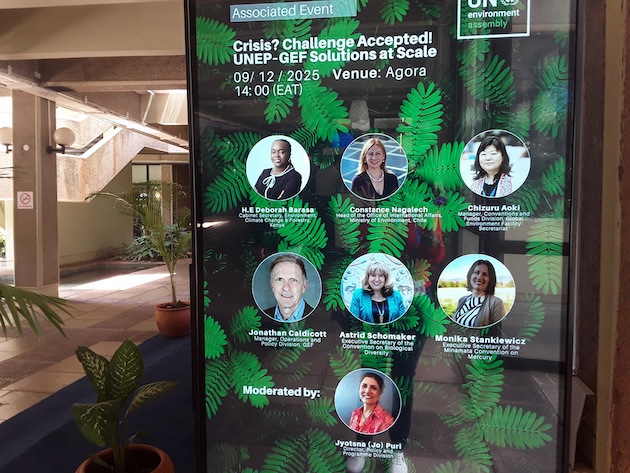 UNEA-7 is exploring innovative solutions to match complex challenges, including climate change, biodiversity loss, land degradation and pollution. Credit: Joyce Chimbi/IPS