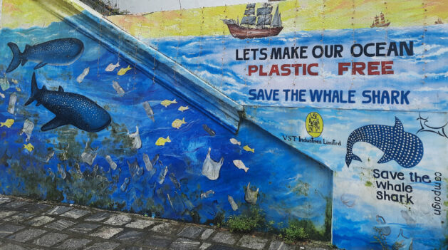 Graffiti in Kochi, Kerala, shows the whale shark (Rhincodon typus), the world’s largest fish, found along India’s coastline but remains poorly studied. In Kerala, fisher-reported sightings and landings led to the Save the Whale Shark Campaign (2022) with fishers and fisheries departments. Globally, the IUCN lists the whale shark as Endangered, with populations declining worldwide. Credit: Ashwarya Bajpai/IPS