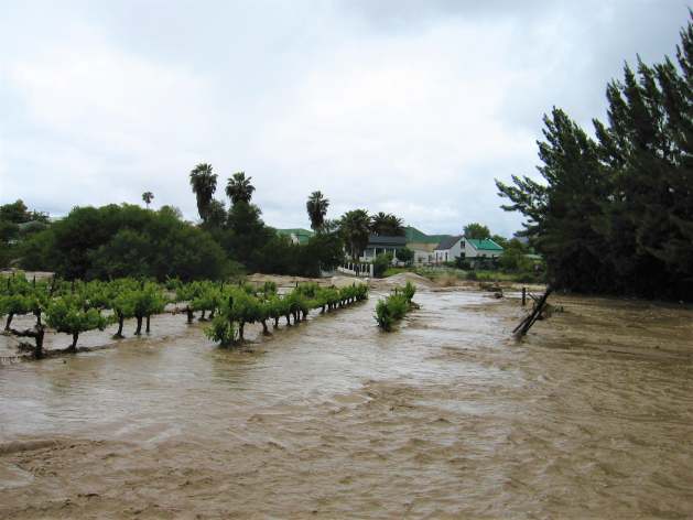 Flooding is quickly emerging as a threat that is compromising and undermining food security, health, infrastructure, and economies both in the short- and long-term. Credit: Shutterstock - Severe floods in Southern Africa expose how floods and food security are inseparable: crops are lost, soils degraded, supply chains disrupted, and hunger risks rise for seasons