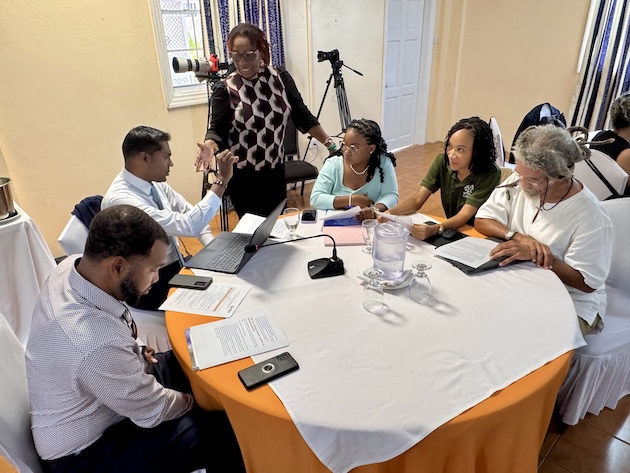 Civil society representatives in discussion during the first day of the Caribbean convening