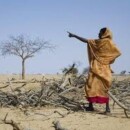 Pacific Community Wire