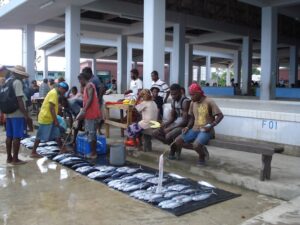 Coastal villages throughout the Solomon Islands rely on selling fish for household incomes. Selling fish in Auki, Malaita Province, Solomon Islands. Credit: Catherine Wilson/IPS
