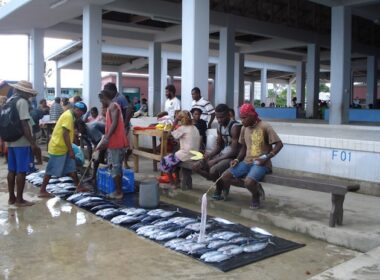 Pacific Islanders Combat Mercury Poisoning of the Environment