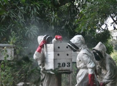 Inside the Funding Model Behind Kenya’s Tana Delta Restoration Project