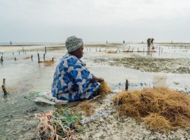 Explainer: How the GEF Funds Global Environmental Action